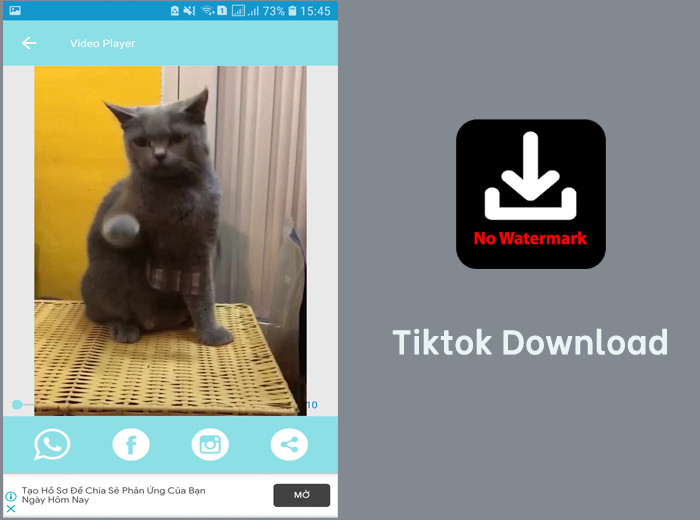 Tiktok Download: Ứng dụng tải video TikTok không logo - Cực nhanh, cực dễ!