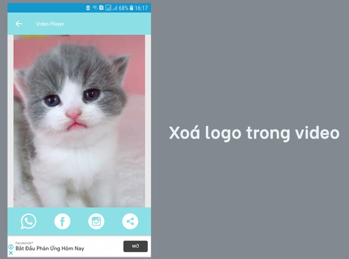 Tiktok Download: Ứng dụng tải video TikTok không logo - Cực nhanh, cực dễ!