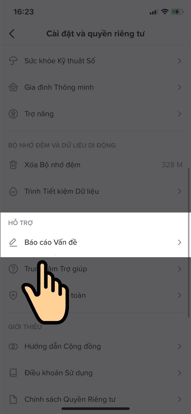 Báo cáo vấn đề