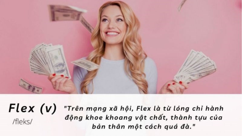 Flex l&agrave; g&igrave;?