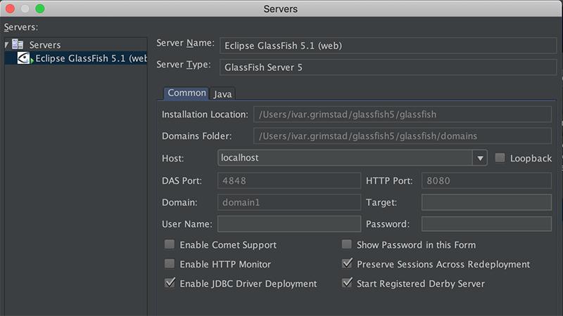 Hỗ trợ c&aacute;c Framework cho website, tr&igrave;nh ứng dụng m&aacute;y chủ GlassFish v&agrave; cơ sở dữ liệu