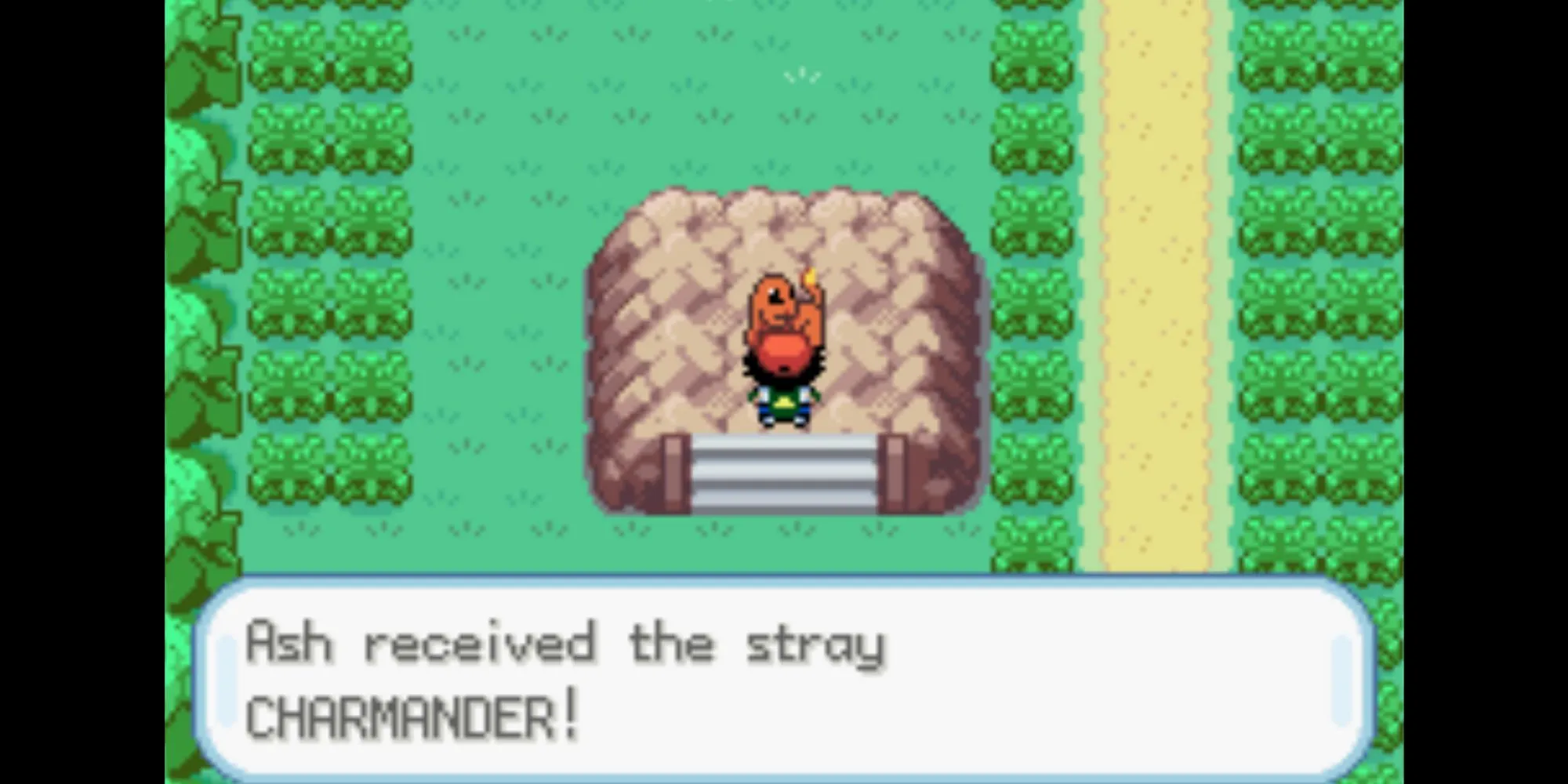 Ash nhận Charmander tại Đường số 5 trong Pokémon Ash Gray