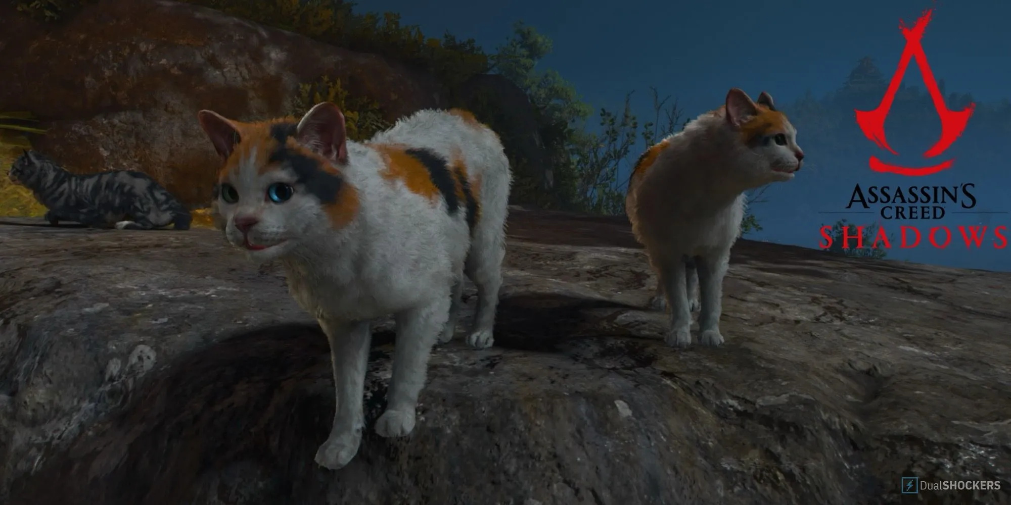 Chú mèo trắng dễ thương tên Ghost được đưa vào Assassin's Creed Shadows dưới dạng Bakaneko.