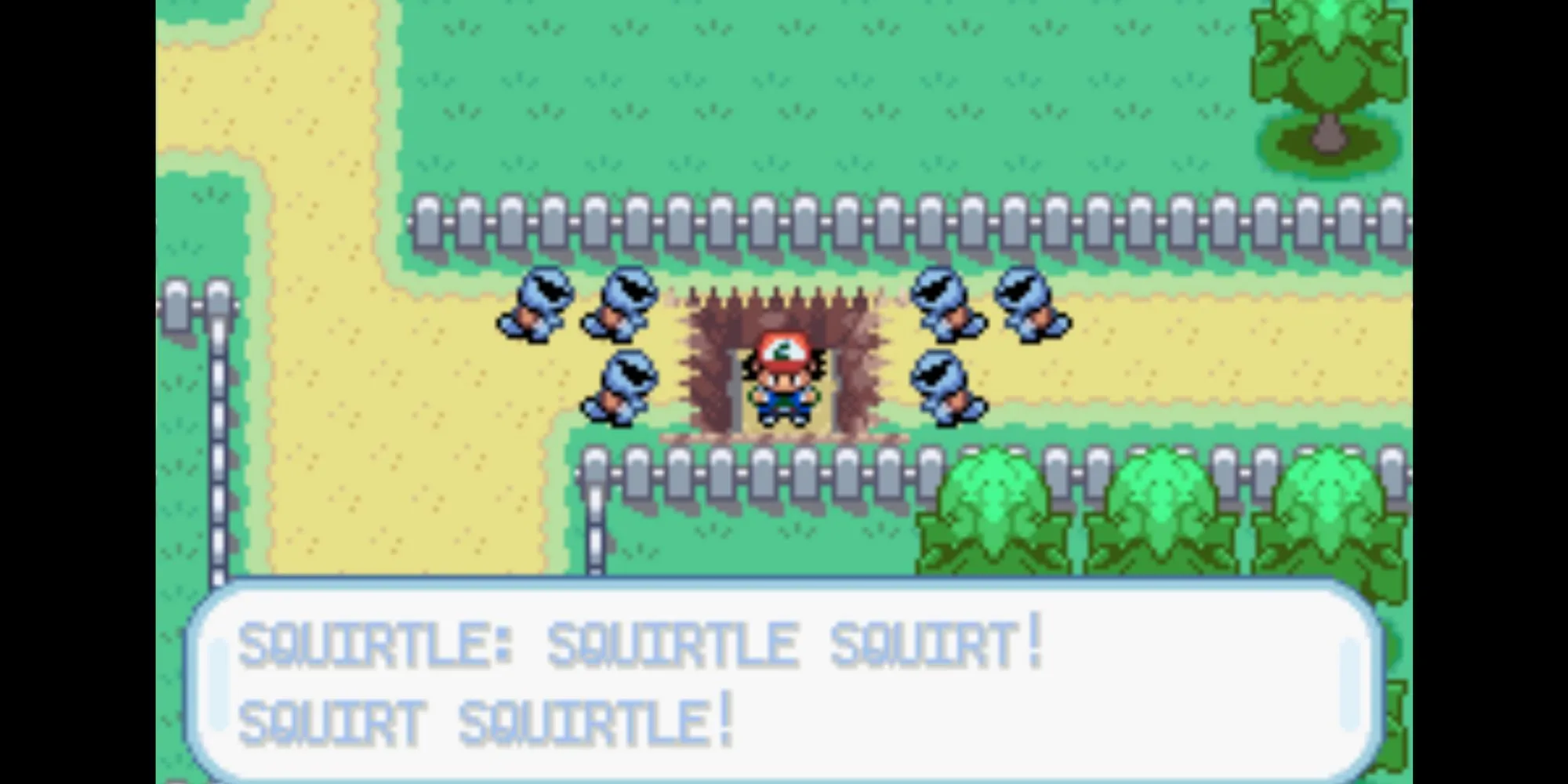 Đội Squirtle trong Pokémon Ash Gray