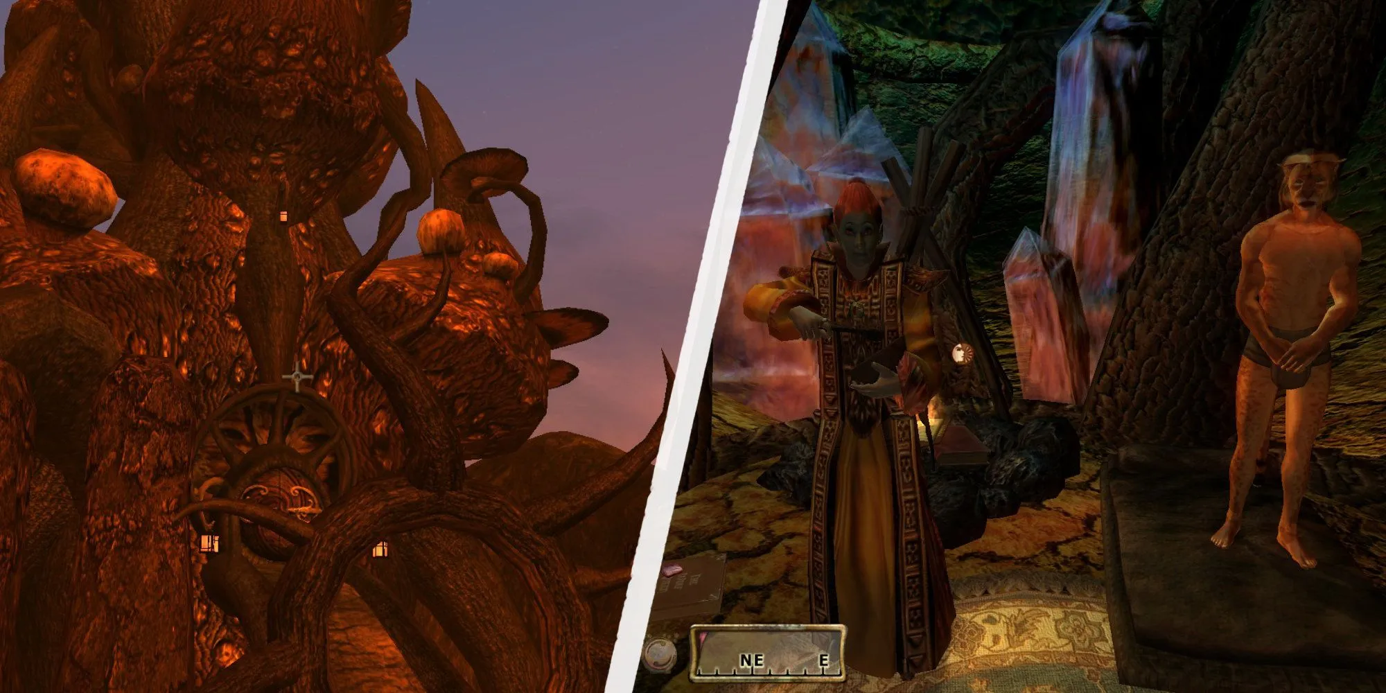 Gặp gỡ ủy viên hội đồng Telvanni Therana tại Tel Branora trong Morrowind