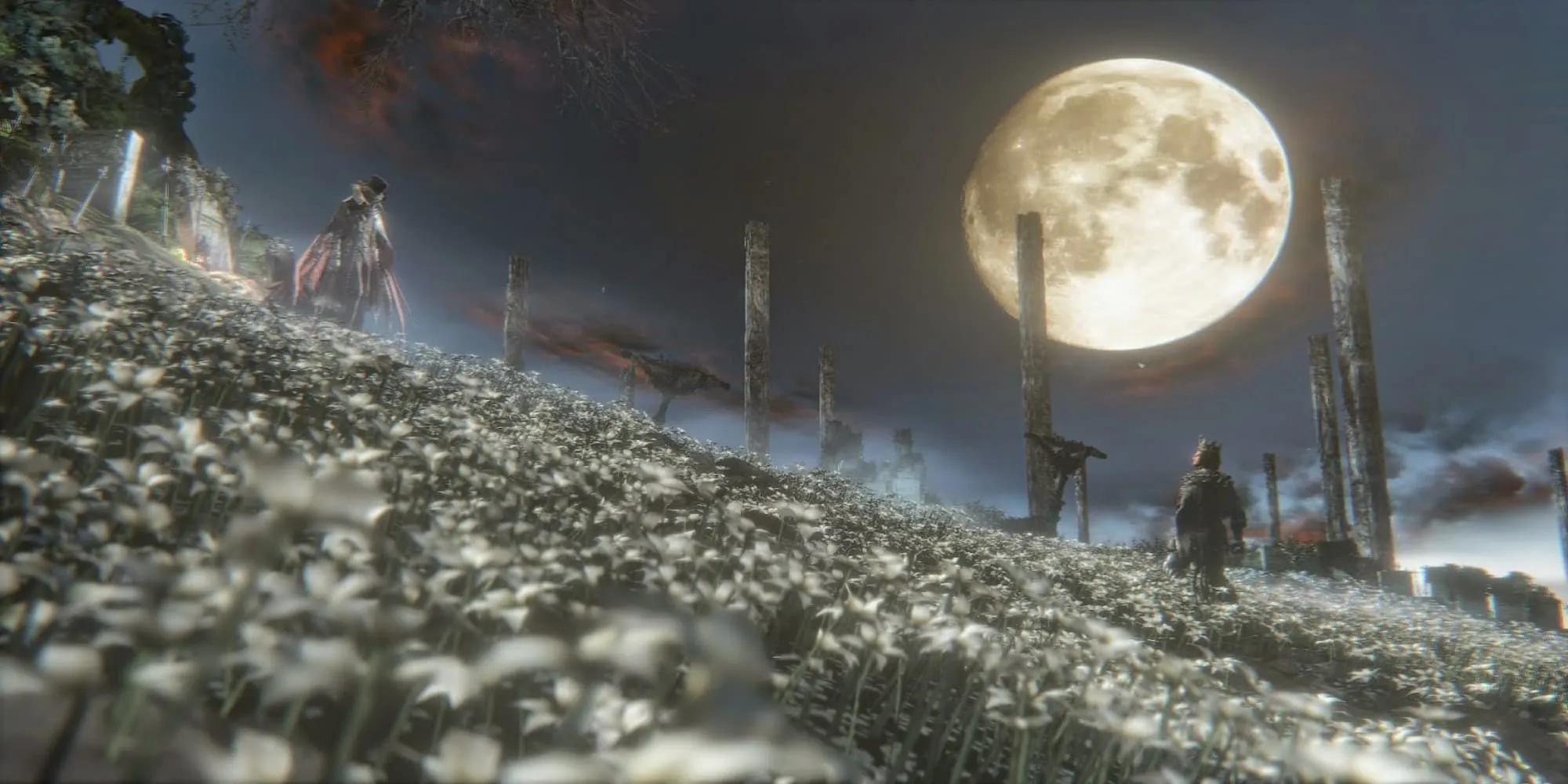 Gehrman, Thợ Săn Đầu Tiên trong Bloodborne, trận đấu trùm đầy cảm xúc giữa đồng hoa trắng