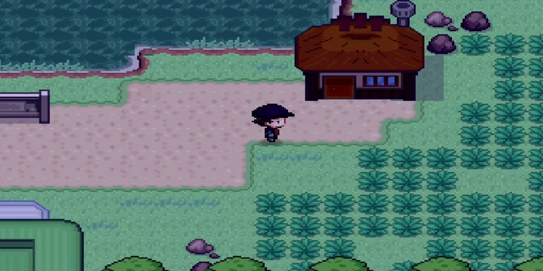 Khu Safari ở Thành phố Fuchsia ngay sau lối vào trong Pokemon Infinite Fusion