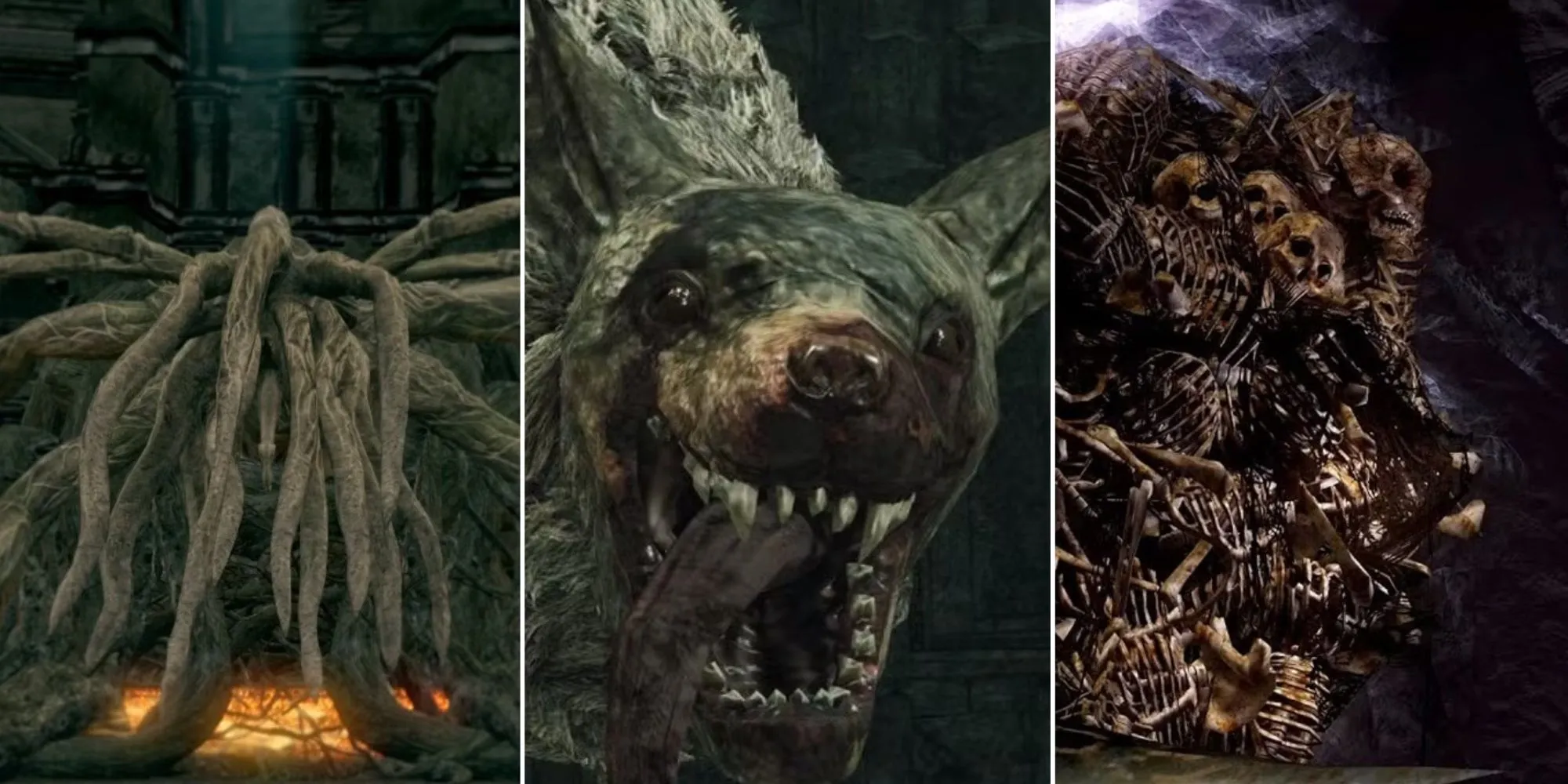 Một chiến binh đối mặt với con trùm khổng lồ trong game Soulsborne