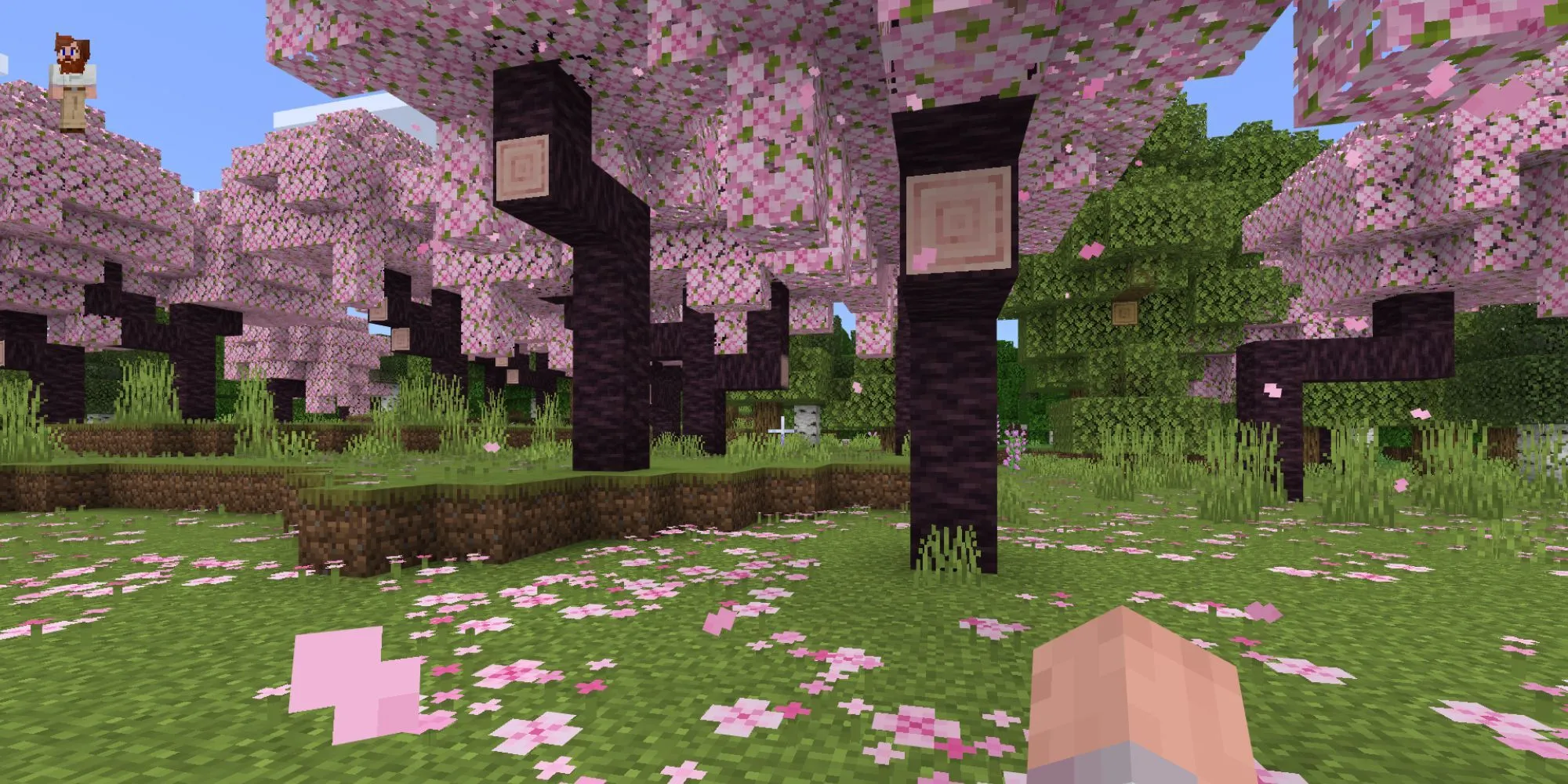 Một khu rừng hoa anh đào trong Minecraft với cây cối và địa hình khối đặc trưng