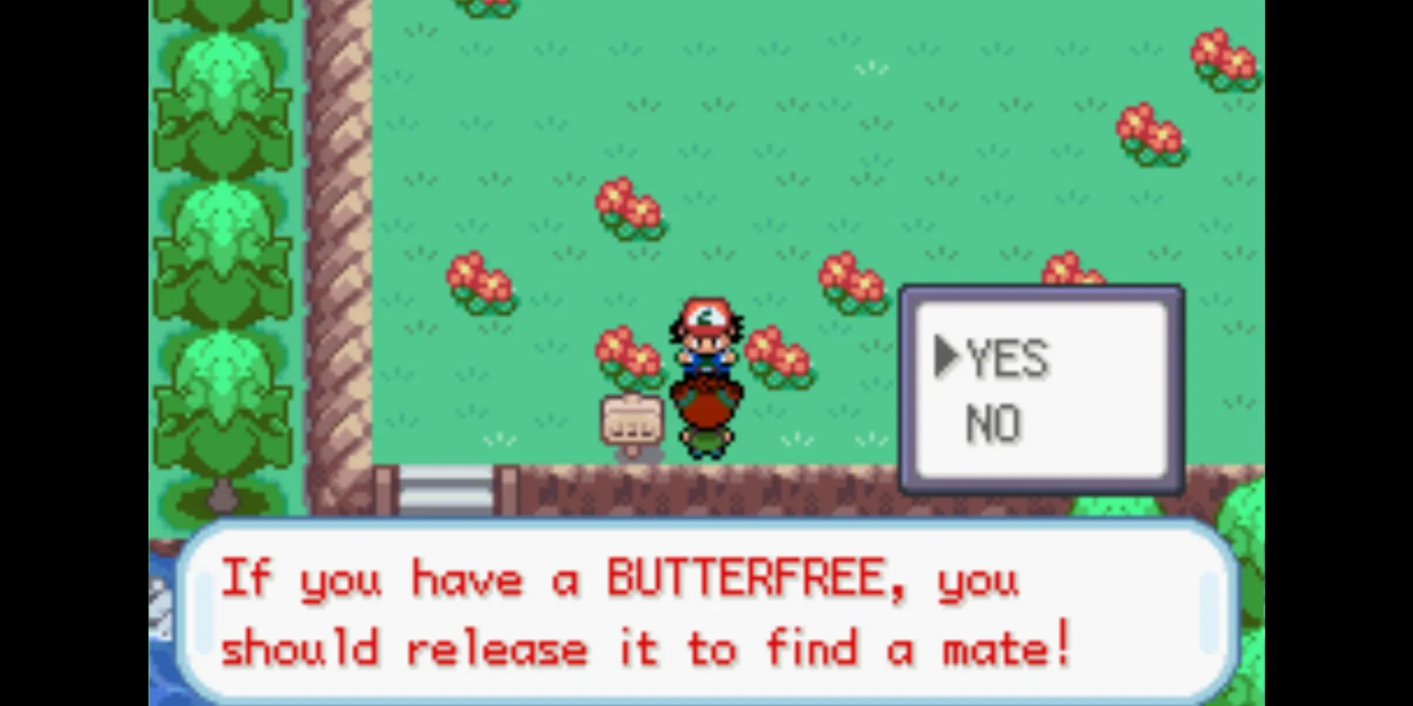 Thả Butterfree tại Đường số 7 trong Pokémon Ash Gray