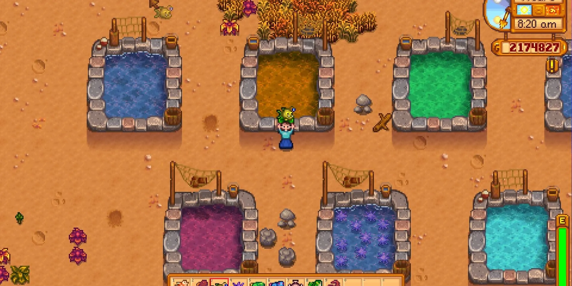 Ảnh chụp màn hình Hồ Cá Angler trong Stardew Valley.