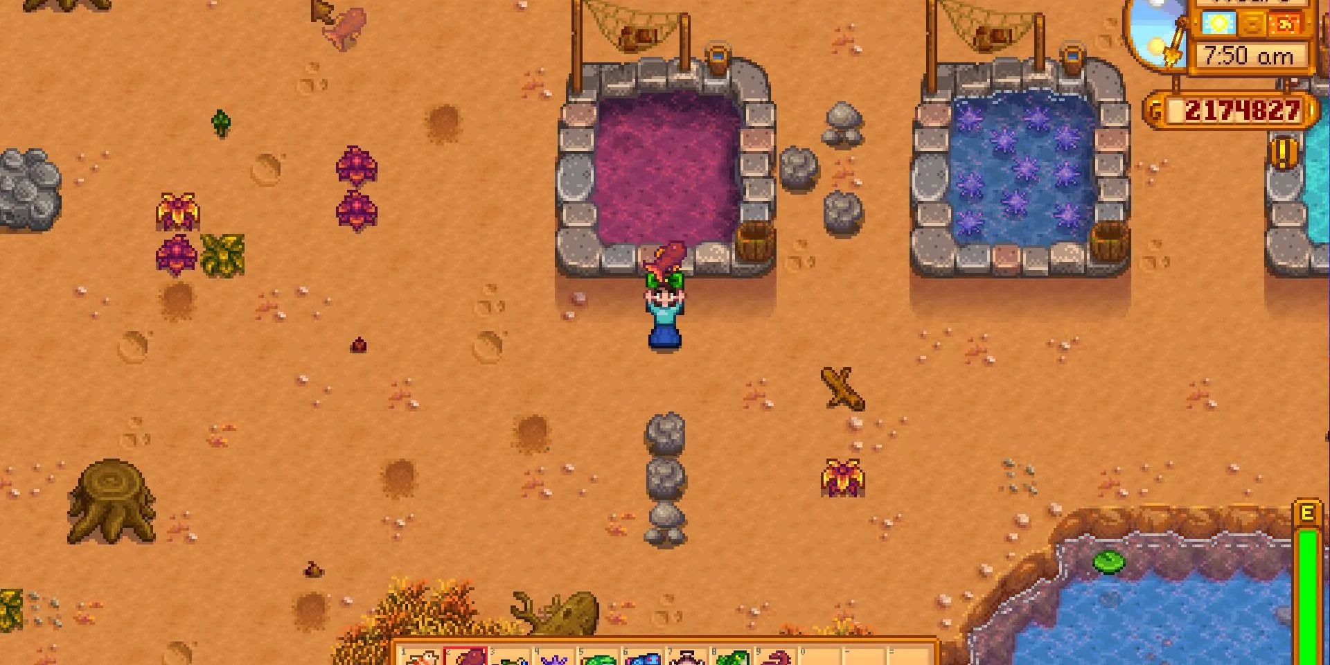 Ảnh chụp màn hình Hồ Cá Đỏ (Crimsonfish) trong Stardew Valley.