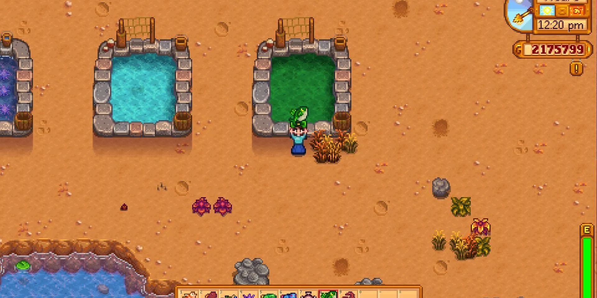 Ảnh chụp màn hình Hồ Cá Legend (The Legend) trong Stardew Valley.