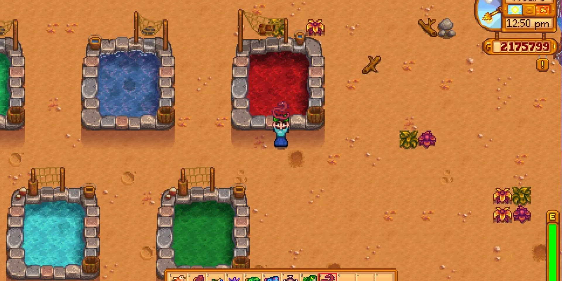 Ảnh chụp màn hình Hồ Cá Lươn Dung Nham (Lava Eel) trong Stardew Valley.