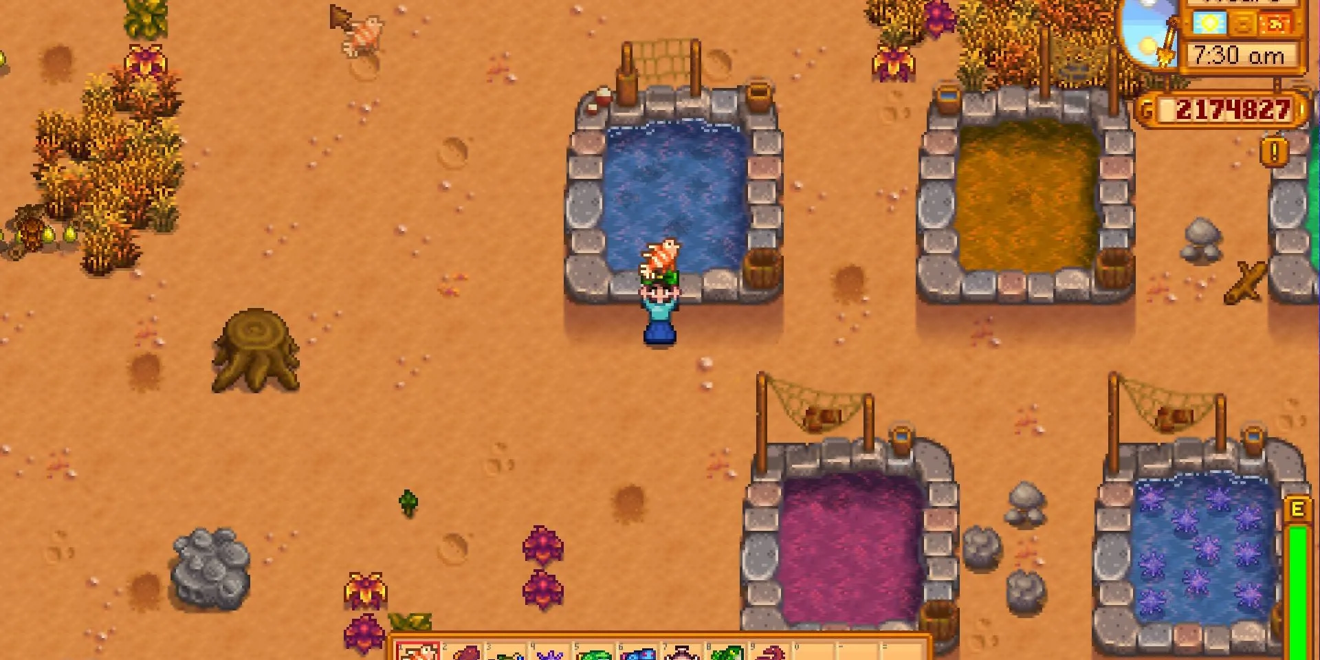 Ảnh chụp màn hình Hồ Cá Sư Tử (Lionfish) trong Stardew Valley.