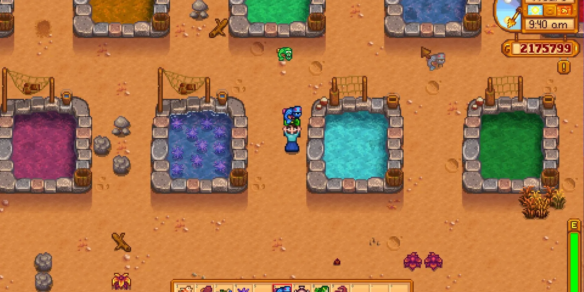 Ảnh chụp màn hình Stardew Valley, với Hồ Cá Chép Đột Biến (Mutant Carp) và Cá Glacierfish trên màn hình.