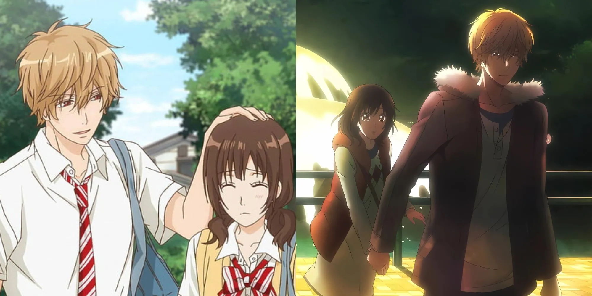 Kyouya Sata và Erika Shinohara trong một khoảnh khắc từ Wolf Girl &amp; Black Prince