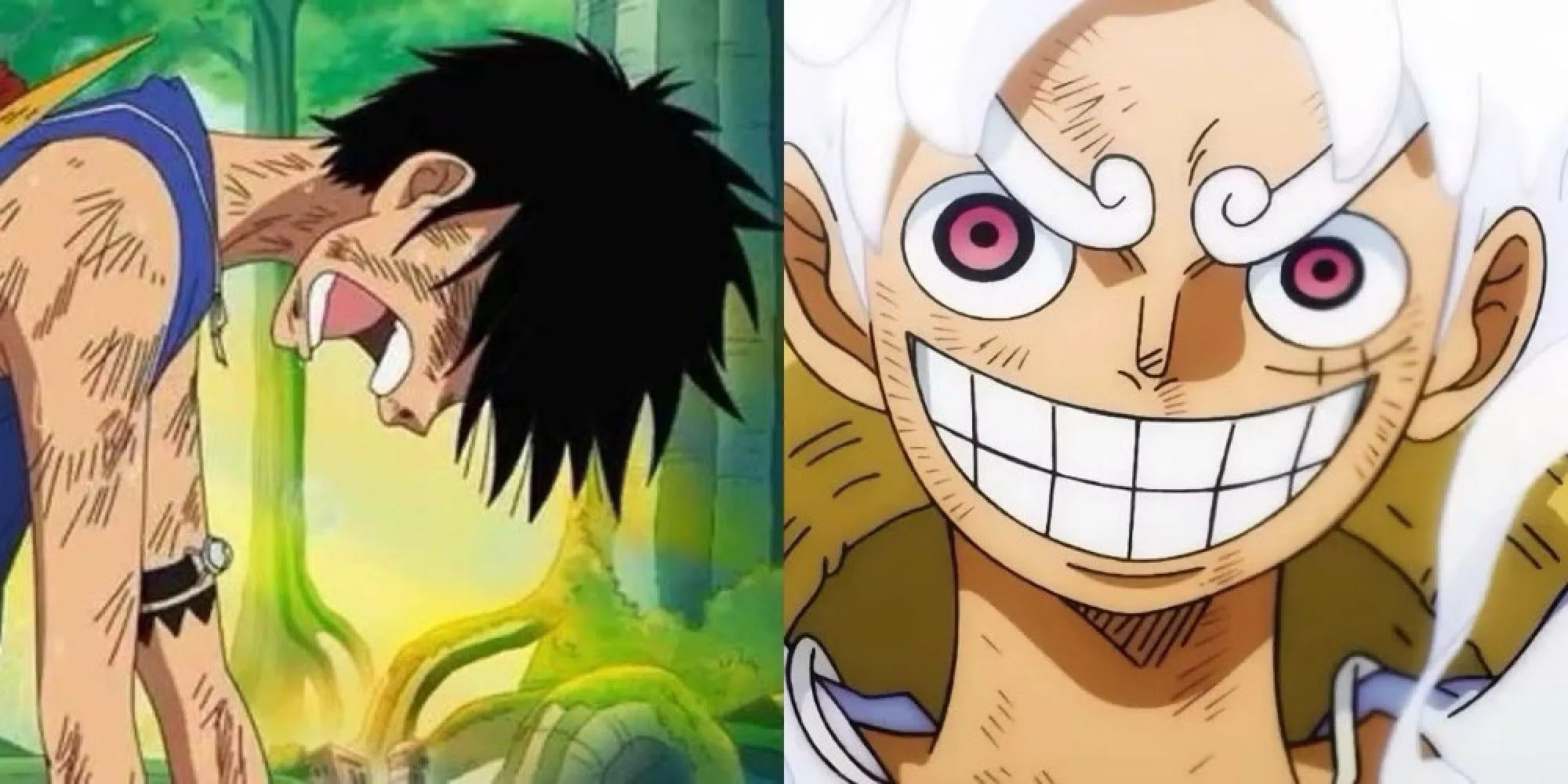 Monkey D. Luffy One Piece