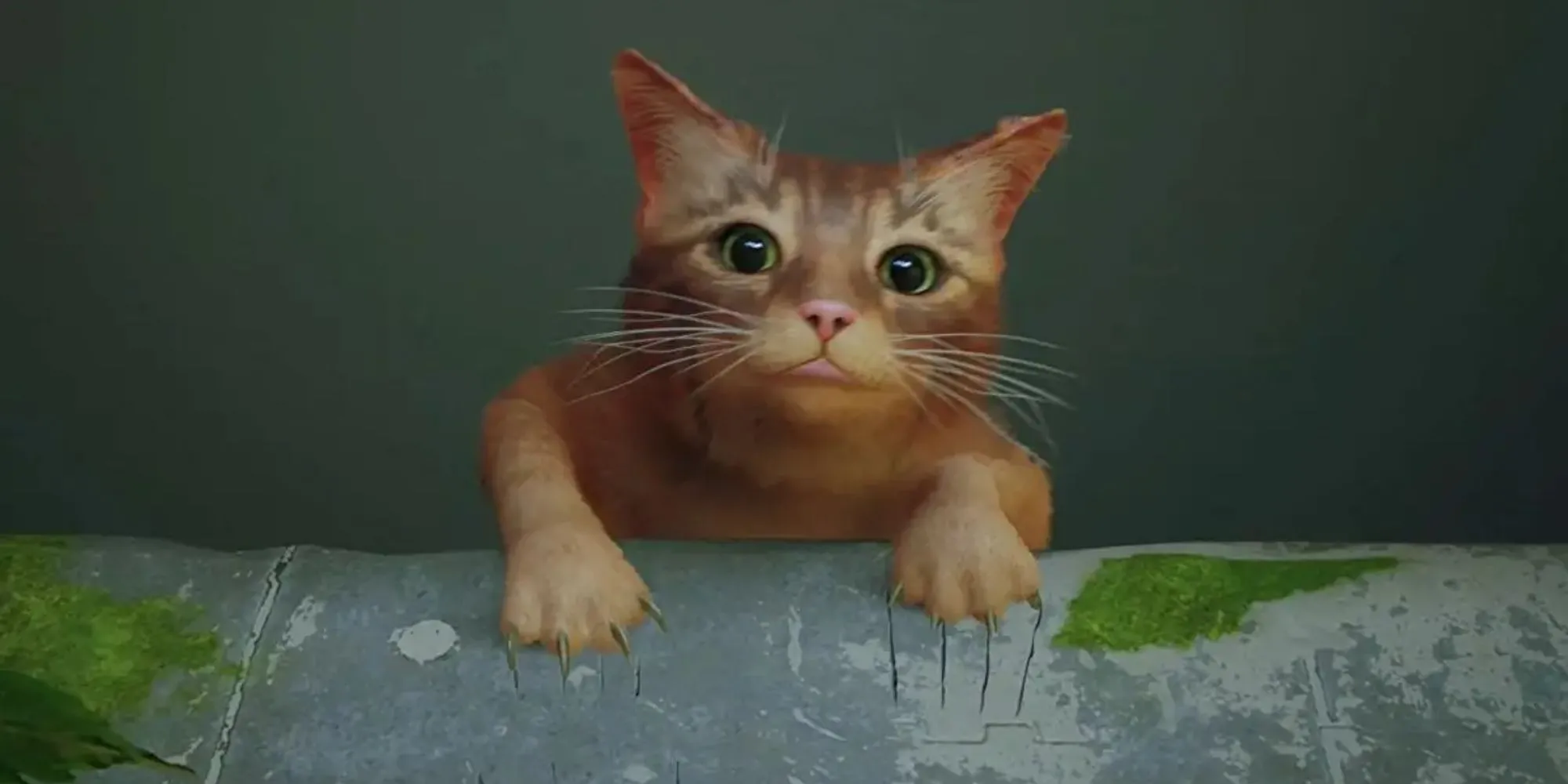 Một chú mèo cam nhìn ra thành phố tương lai trong game Stray