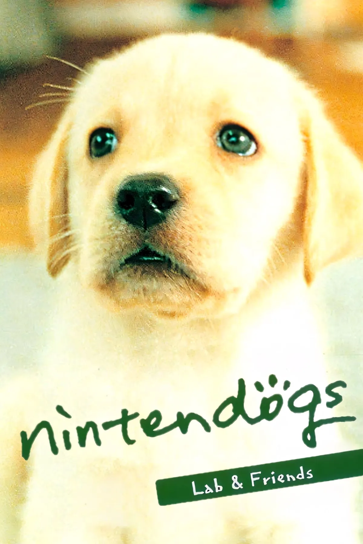 Ảnh bìa game Nintendogs, với các chú chó cưng quen thuộc như Labrador, Chihuahua và Dachshund.