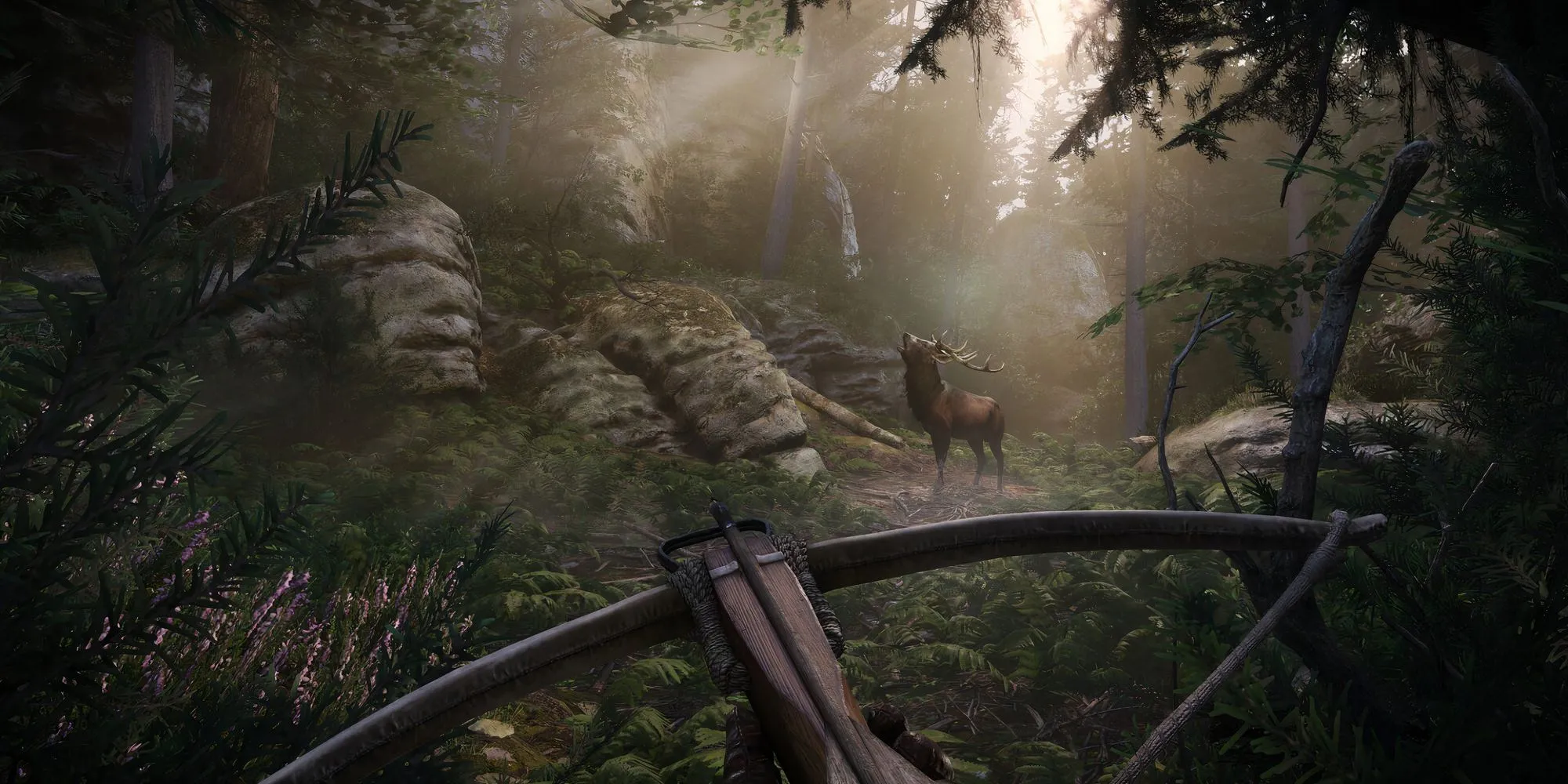 Henry săn bắn hươu bằng nỏ trong môi trường rừng rậm của Kingdom Come Deliverance 2