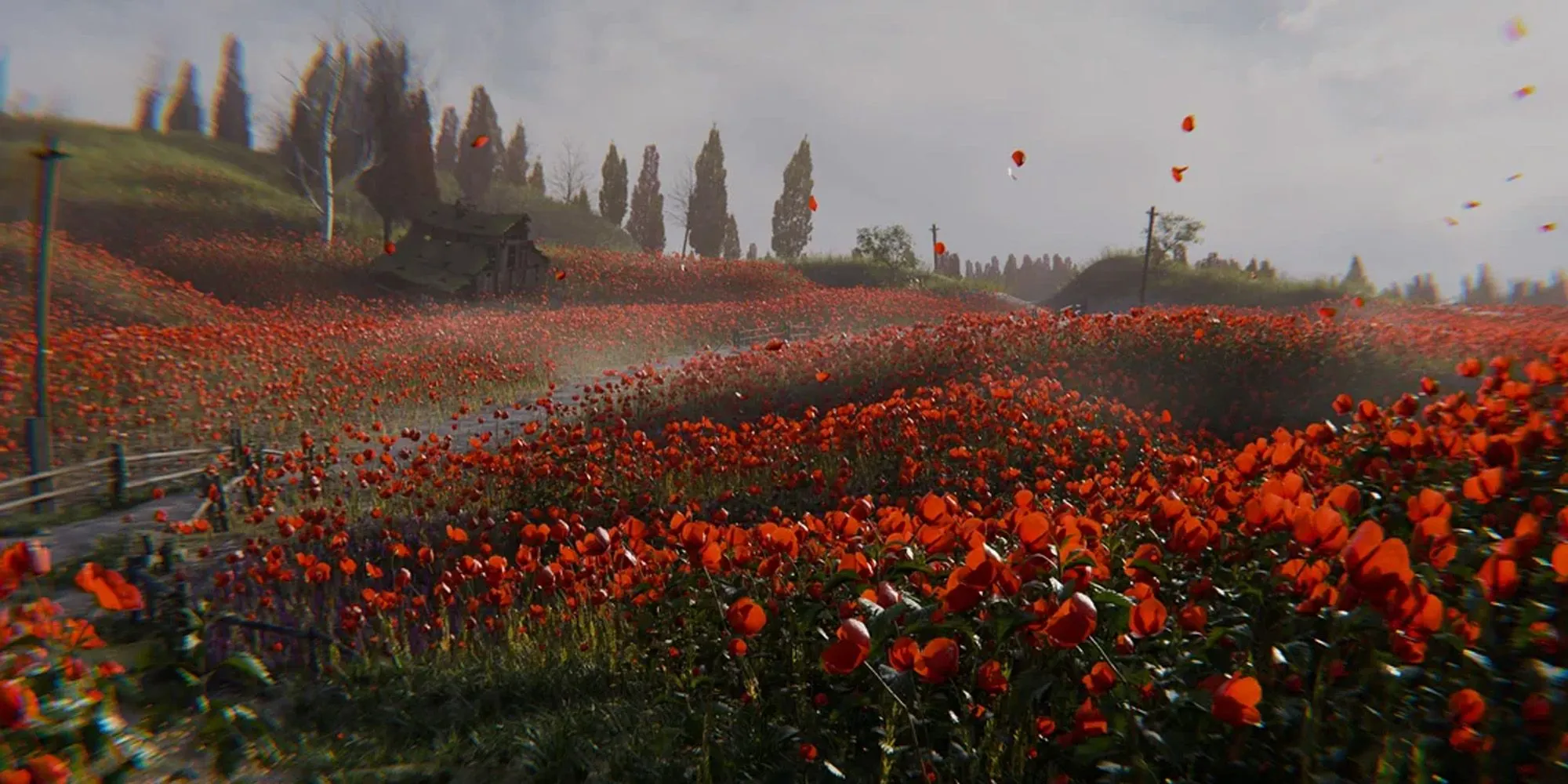 Stalker 2 Best Side Quests The Poppy Field