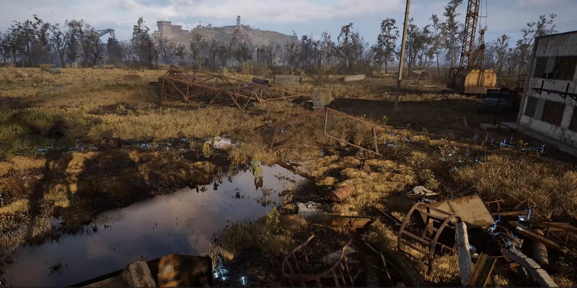 Stalker 2 Electric Field