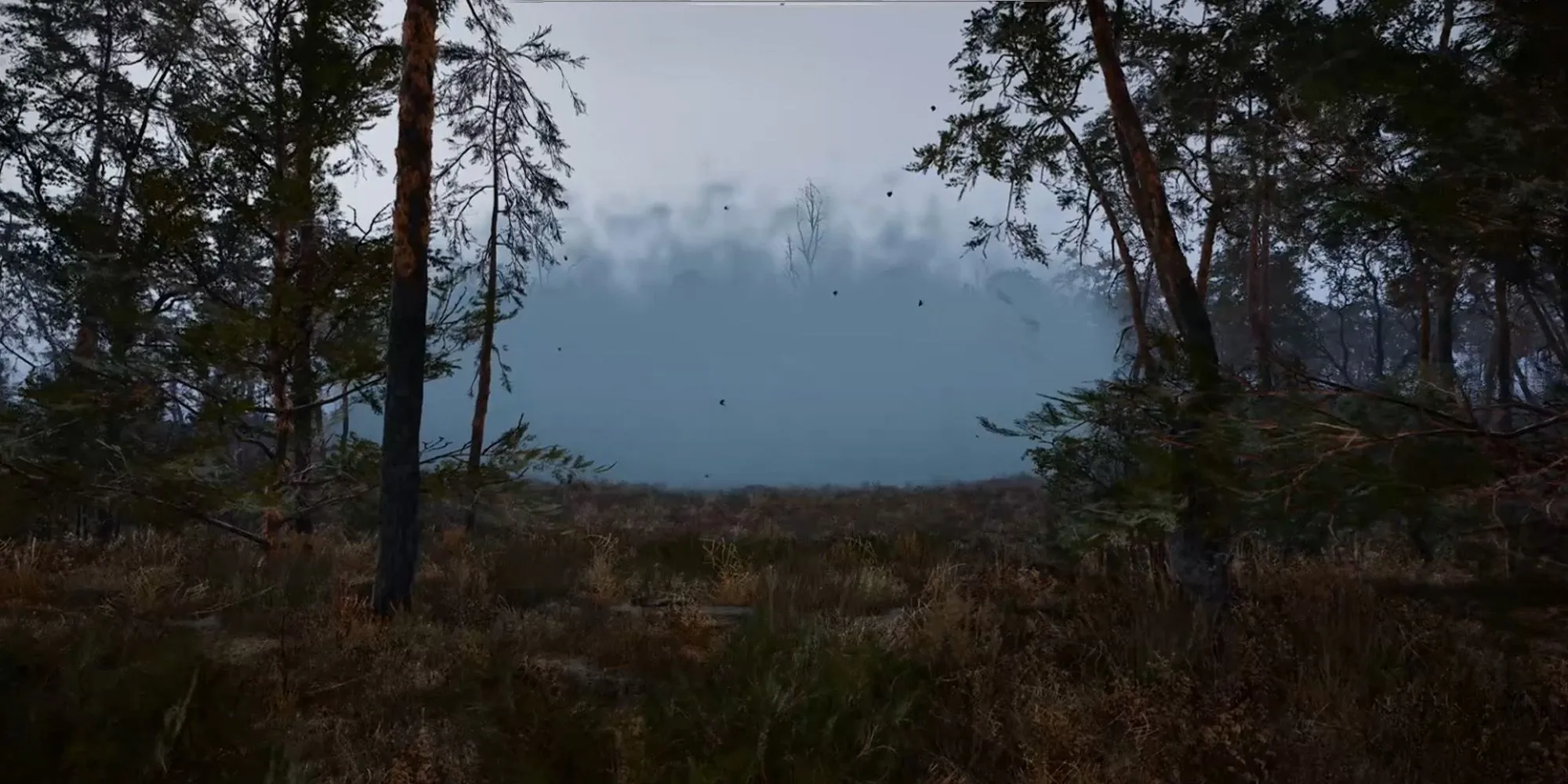 Stalker 2 The Mist
