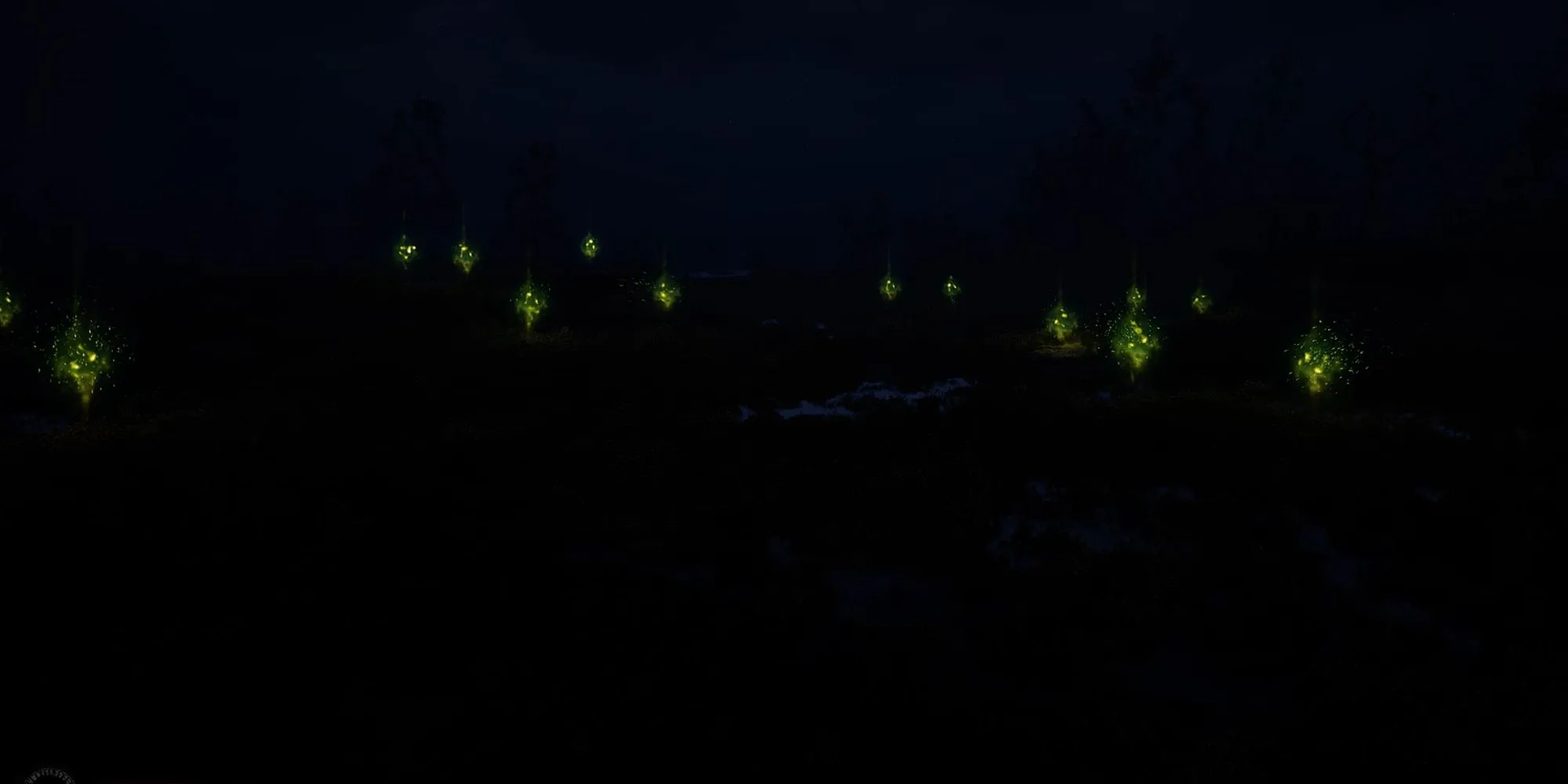 Stalker 2 Wandering Lights