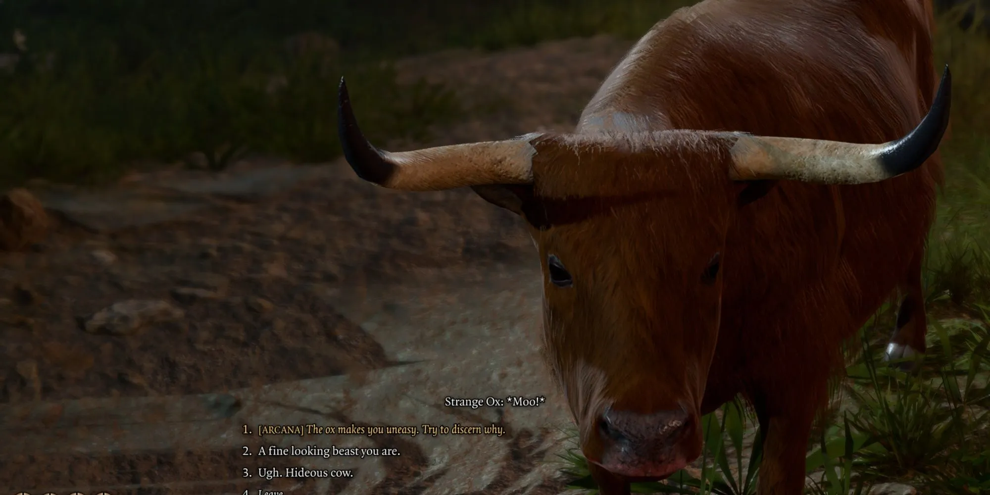 Tav sử dụng phép Speak with Animals để giao tiếp với Strange Ox ở Rivington, Baldur's Gate 3.