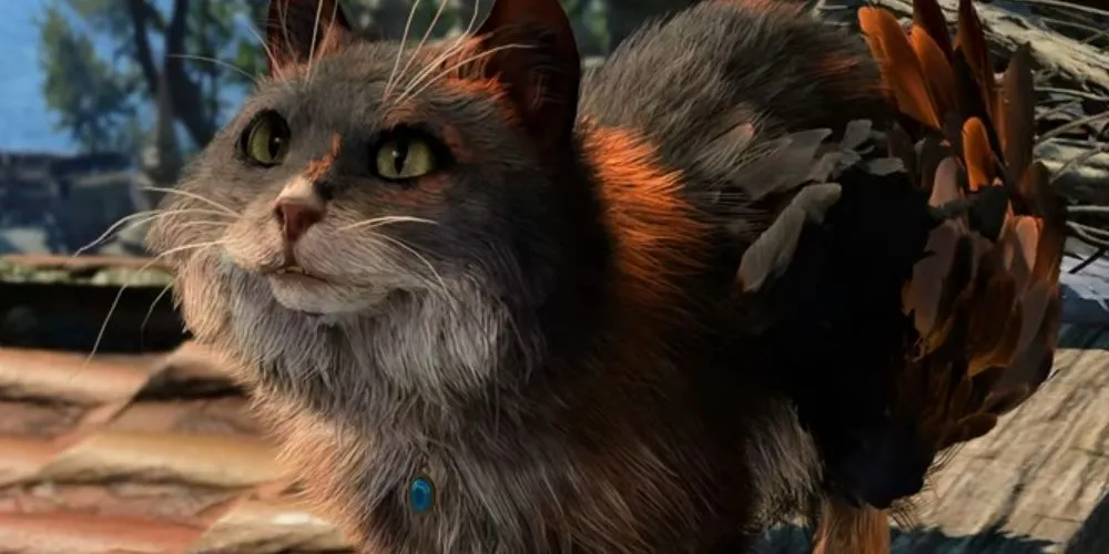 Tav trò chuyện với chim bồ câu bên ngoài Sword Coast Couriers trong Baldur's Gate 3 để tìm thư bị mất.