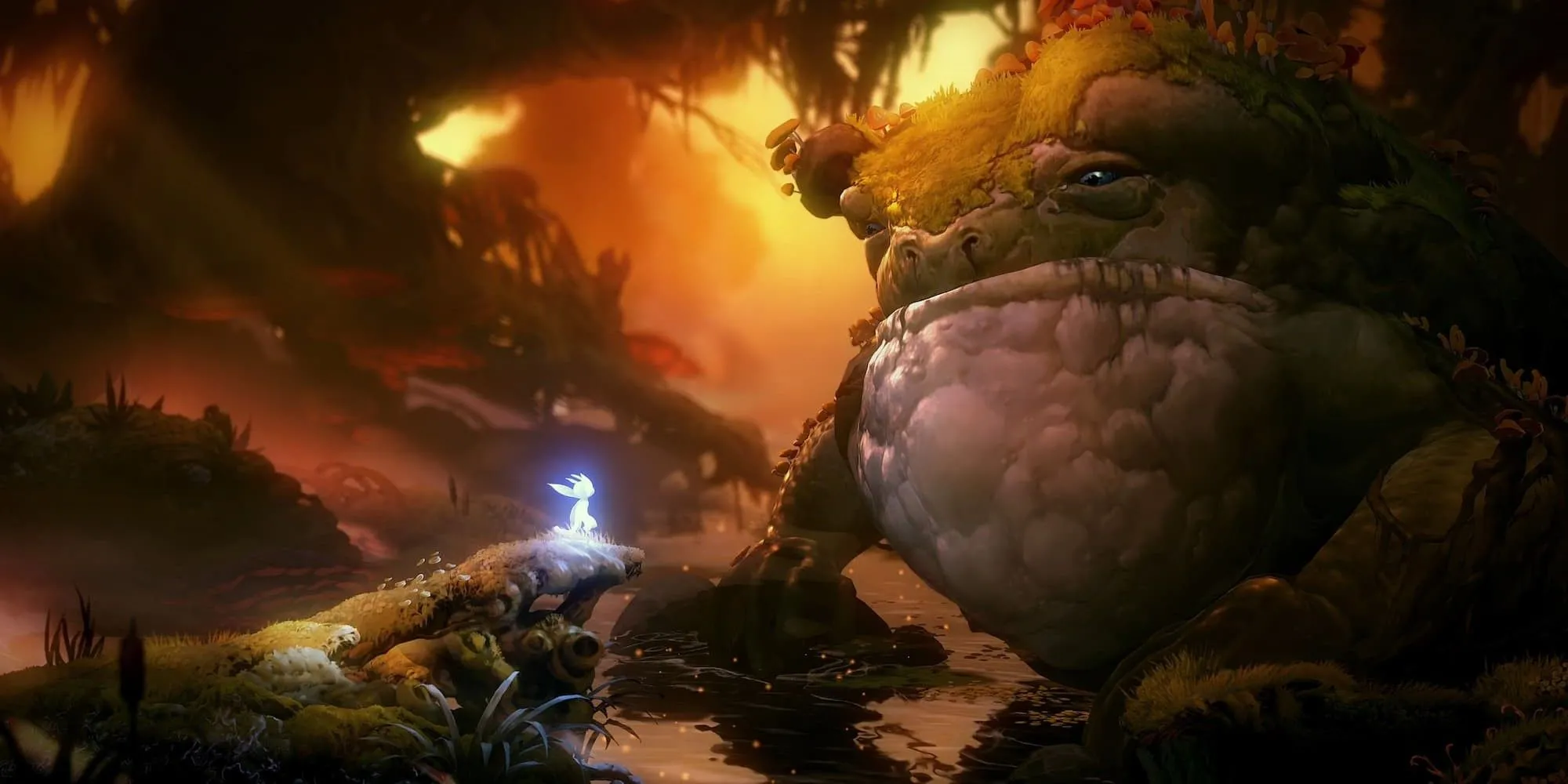 Cảnh con ếch khổng lồ trong Ori and the Will of the Wisps cho thấy quy mô thế giới và platforming đa dạng